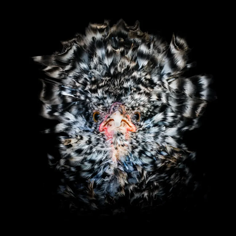 Roger Oberholzer Fotografie Manufaktur