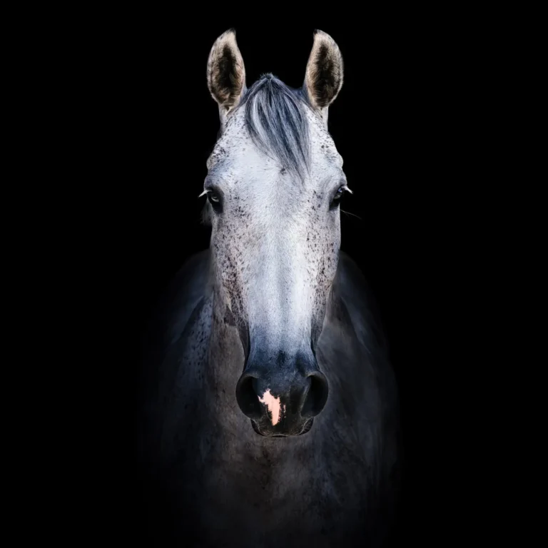 Roger Oberholzer Fotografie Manufaktur